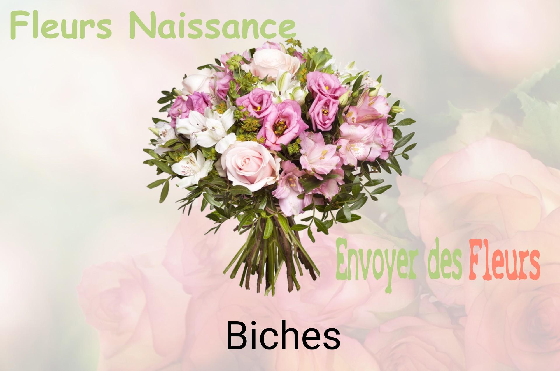 Bouquet de fleurs de naissance livré à Biches