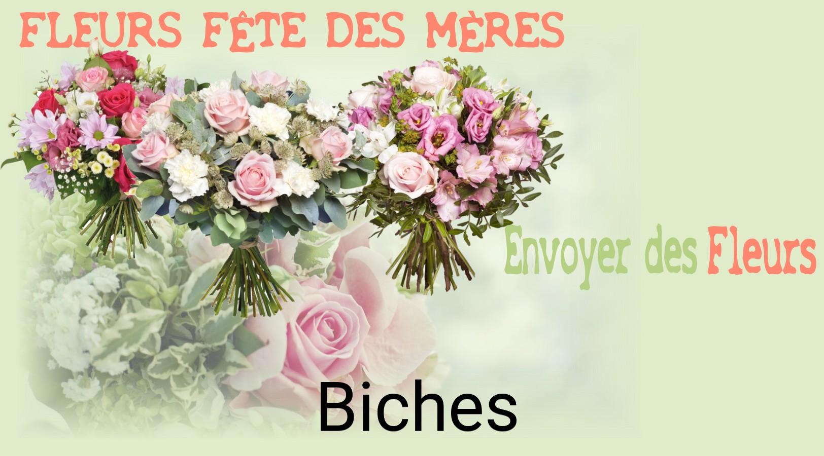 Bouquet de Fête des Mères livré à Biches